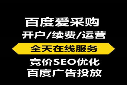 行业领先企业的SEM优化之路